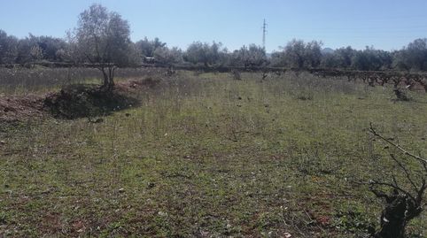 Foto 4 von Country house zum Verkauf in Marchena, 1, Dúrcal, Granada