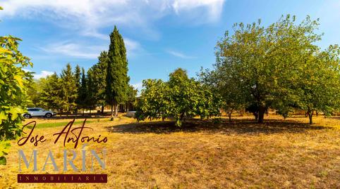 Foto 5 de Casa o xalet en venda a Avenida Campofrío II, Carretera de Sevilla - Los Montitos, Badajoz