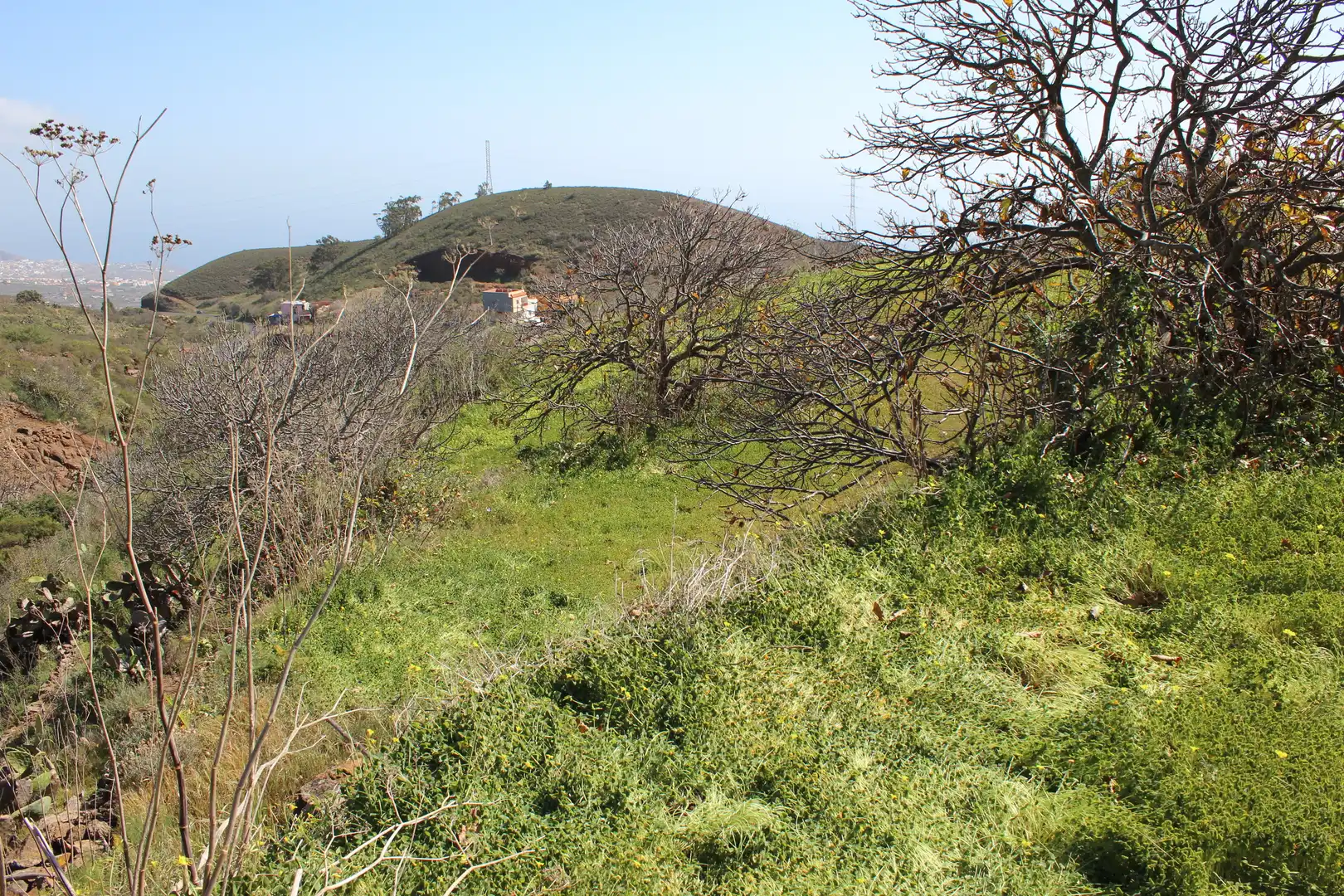 Rustikales Grundstück zum Verkauf in Machado - Las Barreras, imagen 17