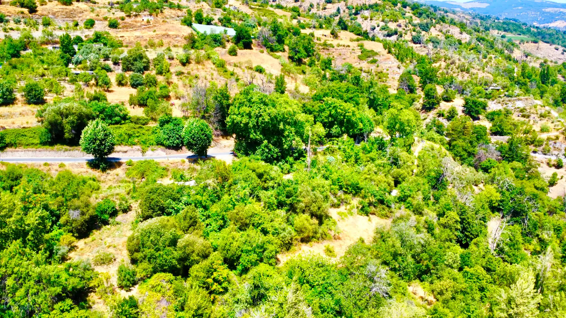 Finca rústica en venta en Alpujarra de la Sierra
