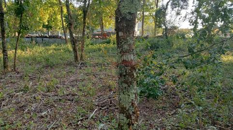 Foto 3 de Residencial en venda a San Cibrao das Viñas, Ourense