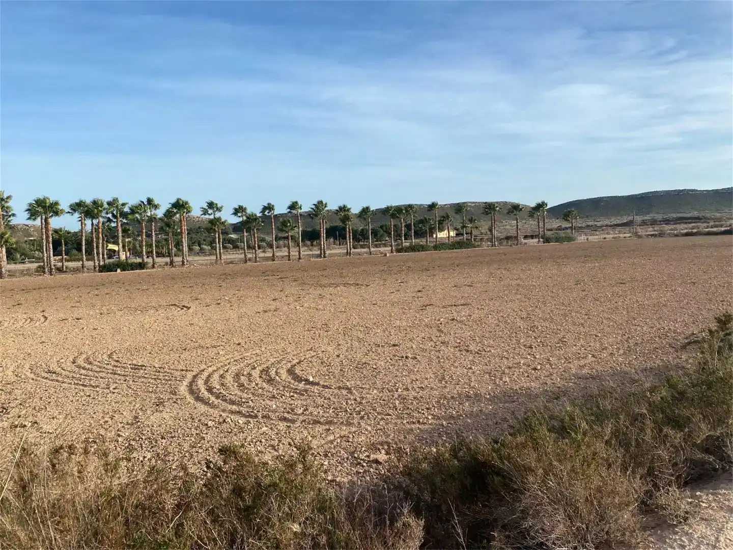 Terreno en venta en Partidas de Alicante