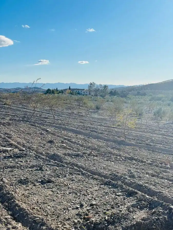 Terreny rústic en venda a Puerto Lumbreras, imagen 2