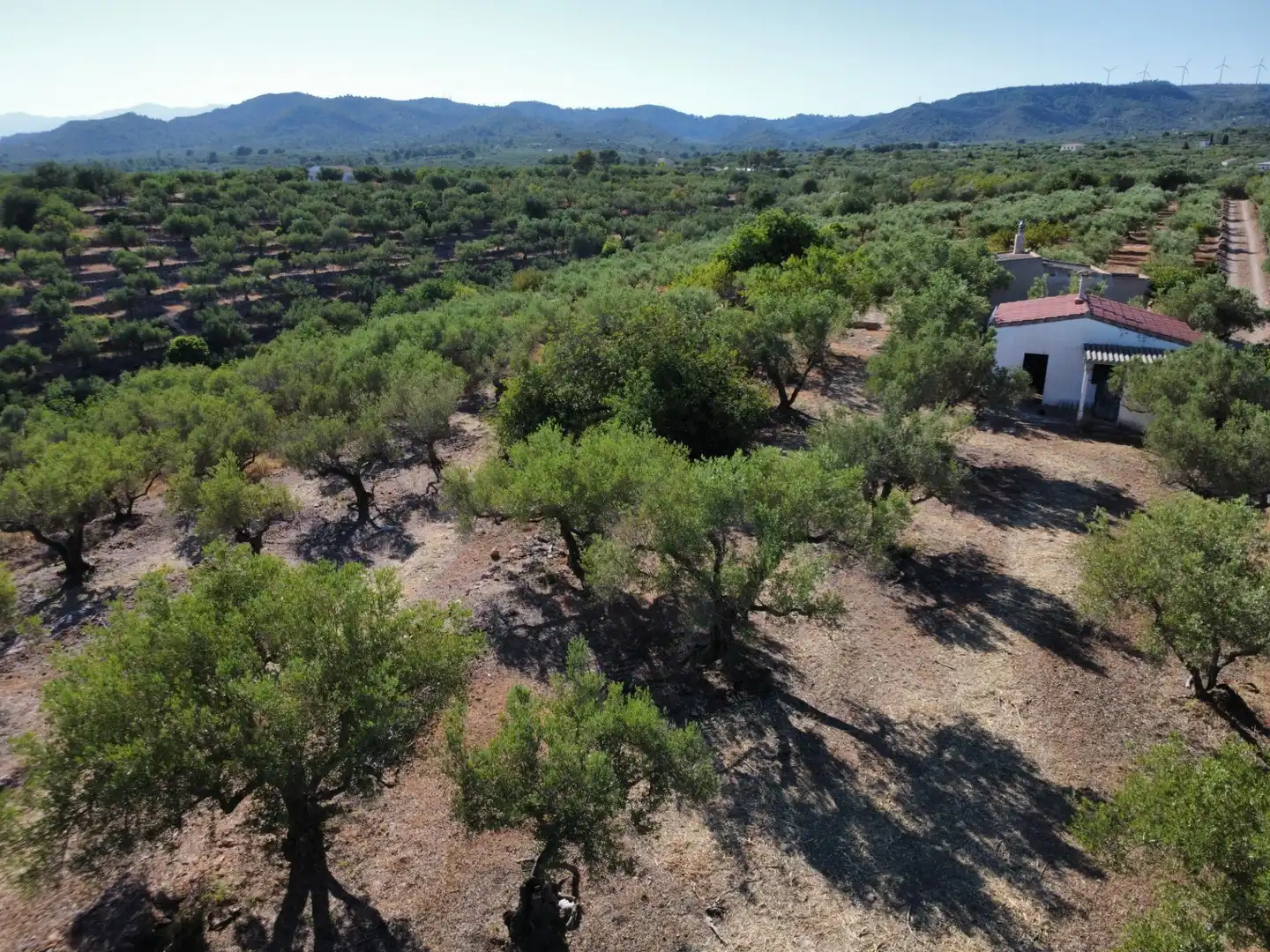 Finca rústica en venda en L'Aldea amb Traster