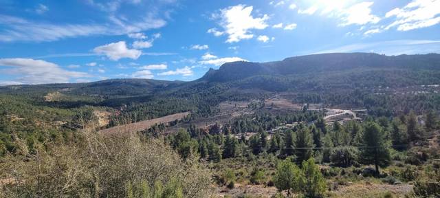 Terreno residencial en Venta en Camino rural de Bojadillas en Nerpio