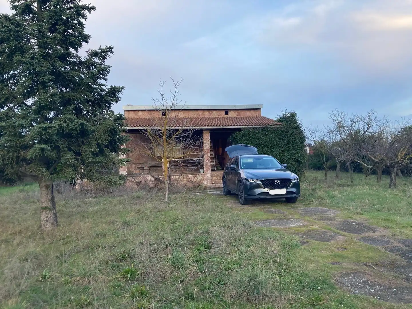 Country homes for sale in Villaturiel  with Private garden