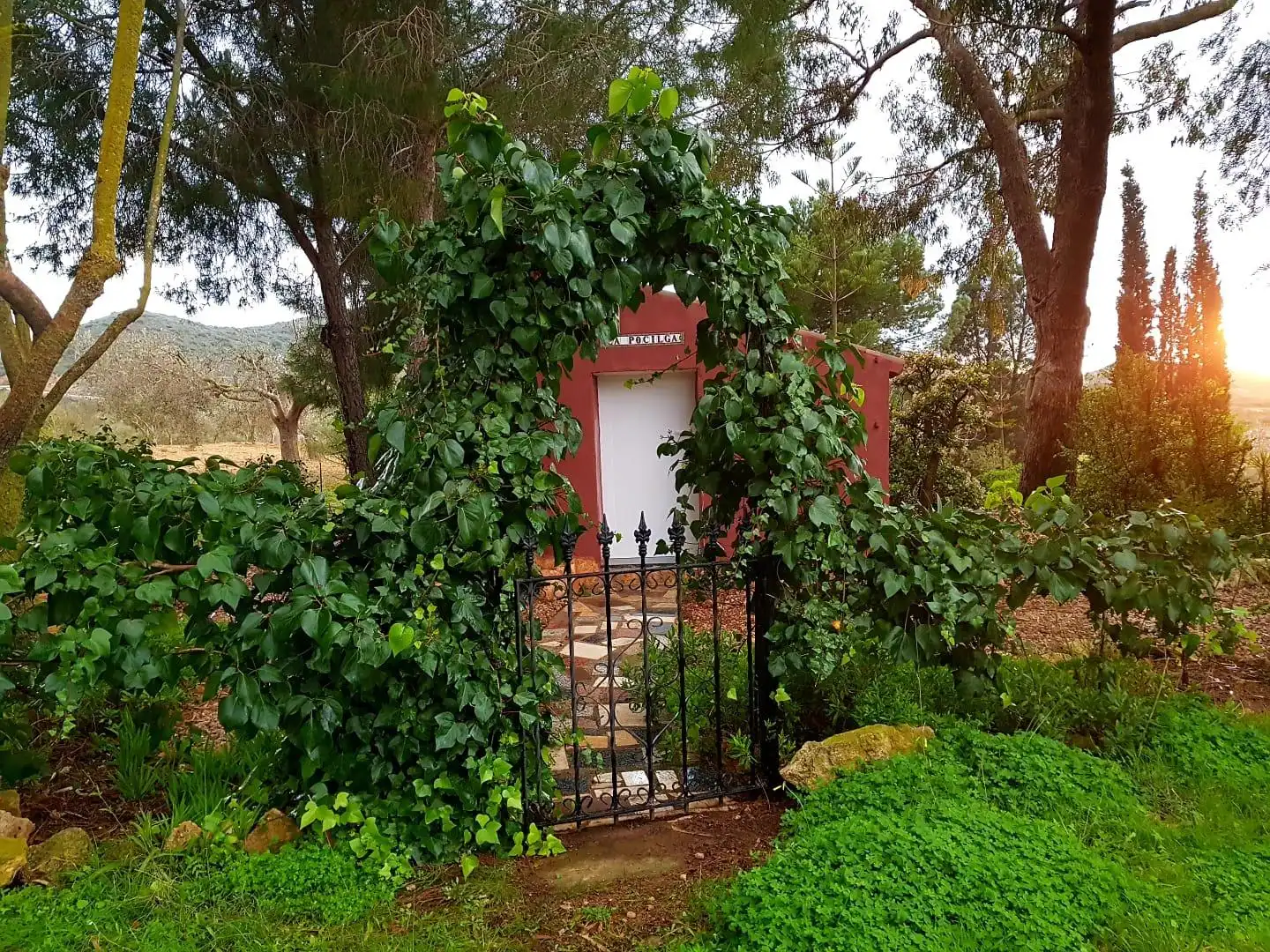 Casa rústica en venta en La Pinilla - Las Palas, imagen 23
