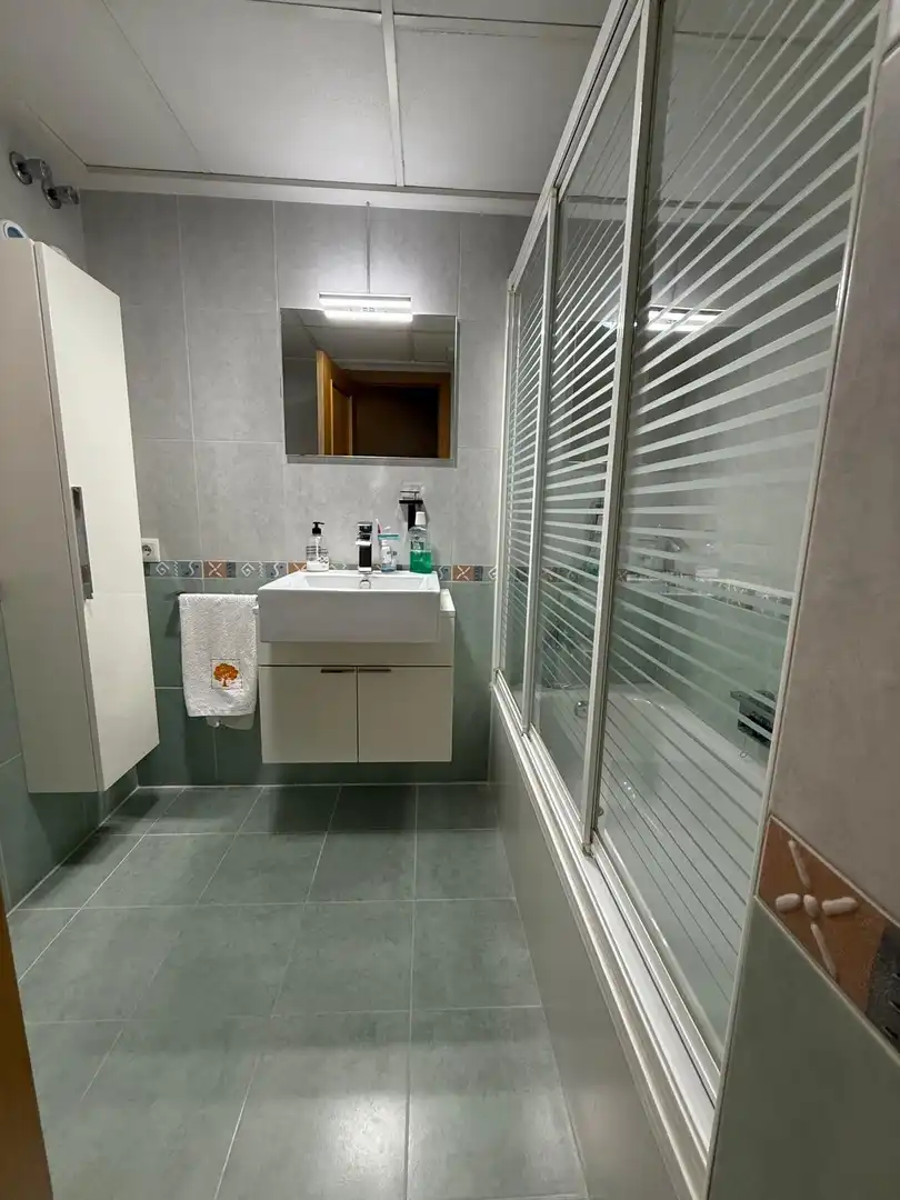 Bathroom of Attic for sale in San Vicente del Raspeig / Sant Vicent del Raspeig  with Air Conditioner, Heating and Private garden