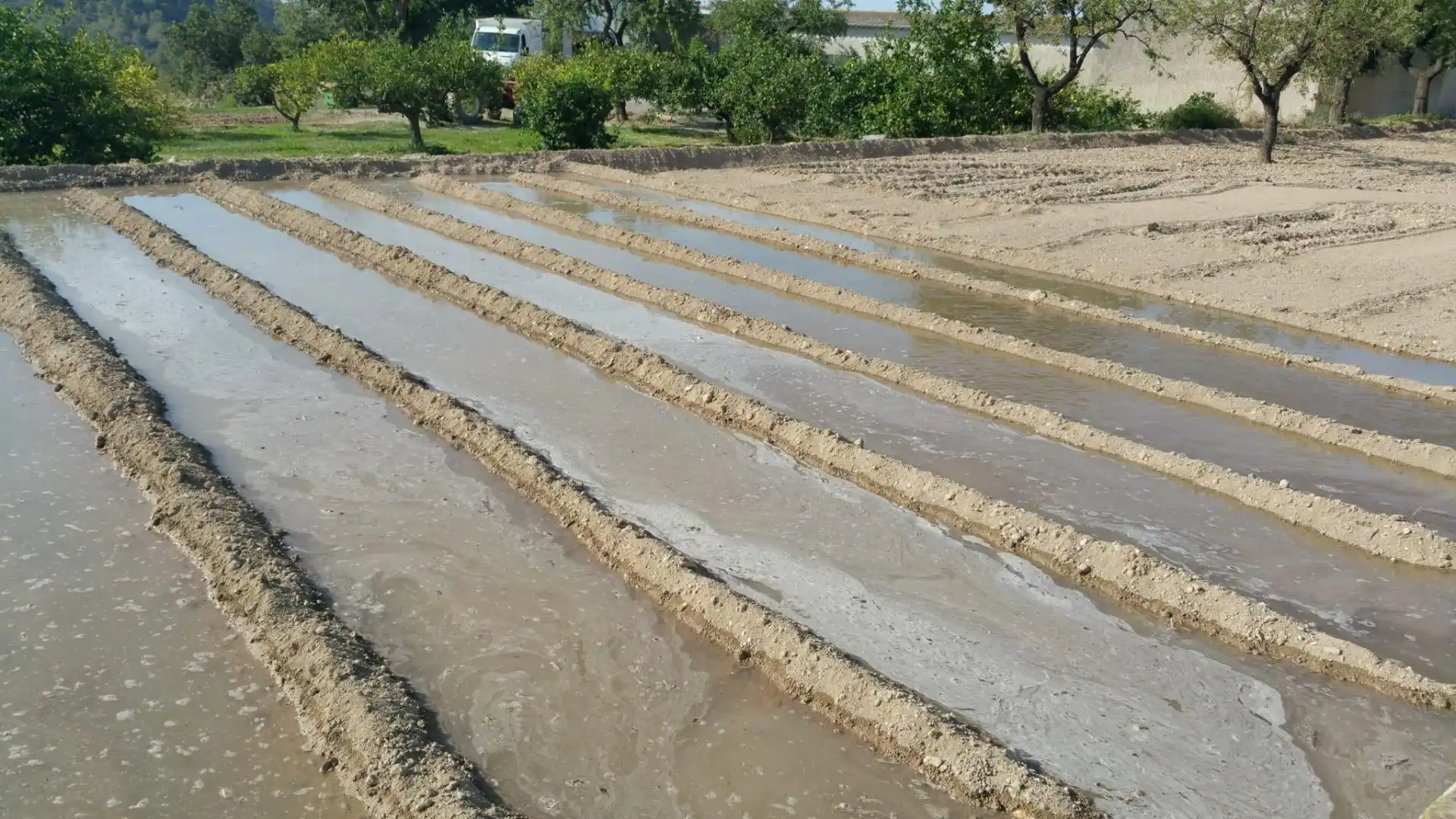 Jardín de Finca rústica en venta en Aigües con Jardín privado
