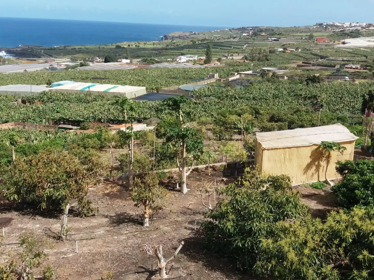 Casa rustica in vendita a Buenavista del Norte, imagen 11
