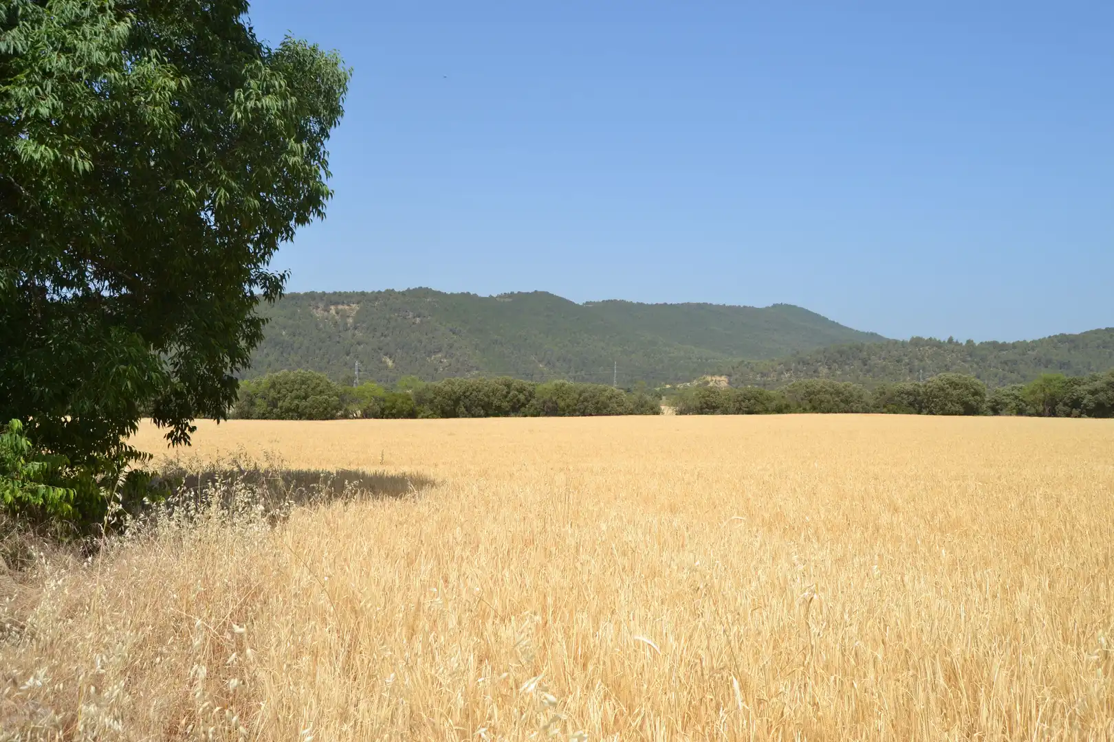 Finca rústica en venta en Murillo de Gállego con Terraza y Balcón
