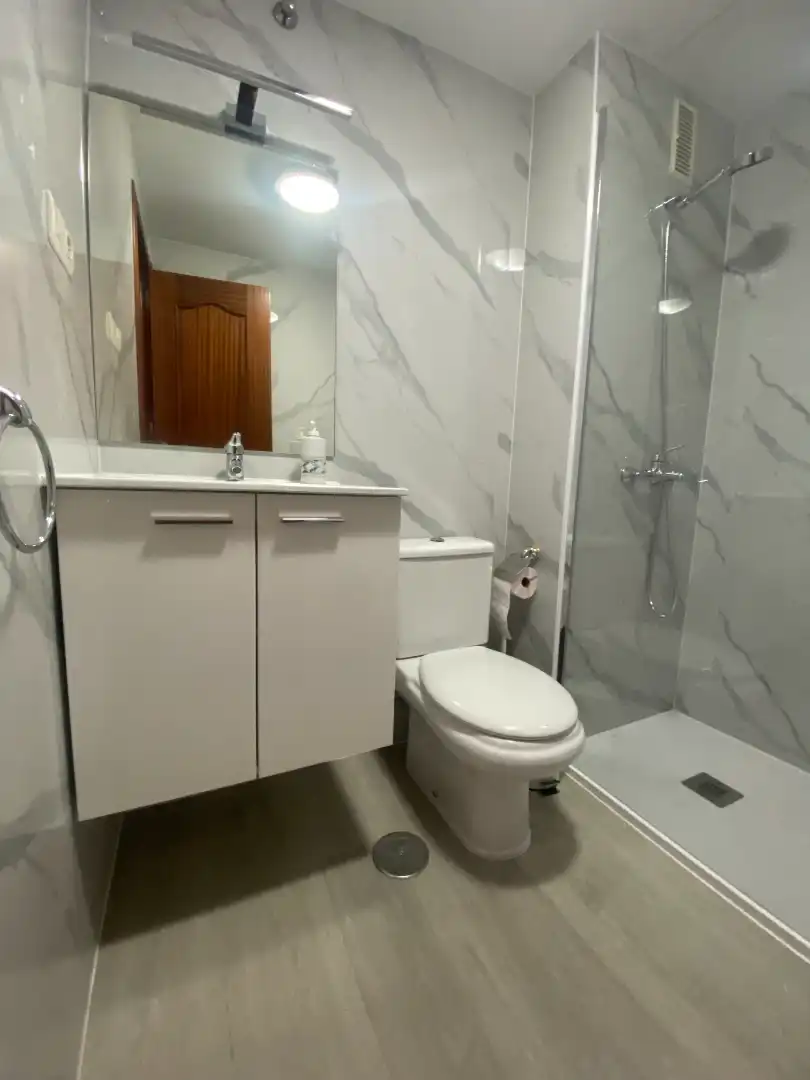 Bathroom of Apartments for rent in Málaga  with Air Conditioner, Terrace and Furnished
