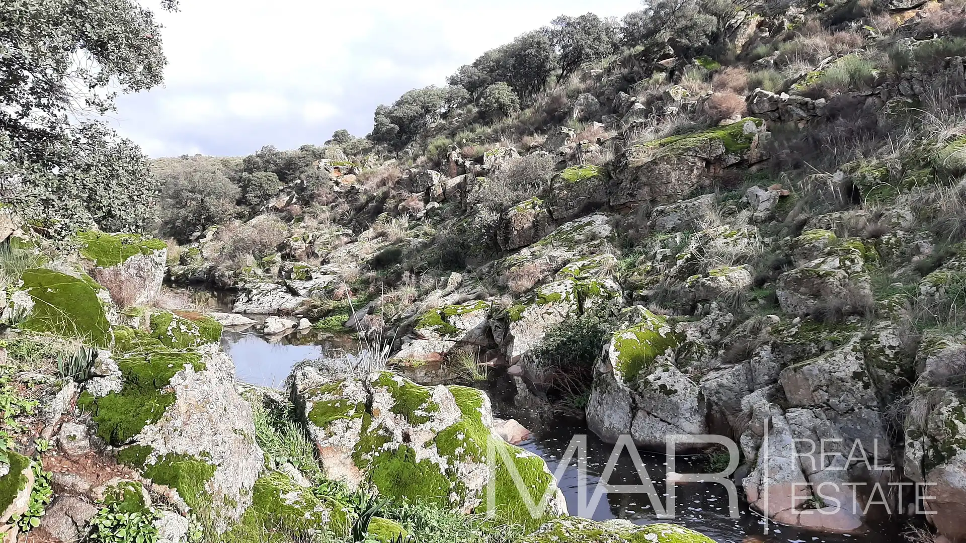 Terreni e lotti in vendita a Villar del Pedroso, imagen 35