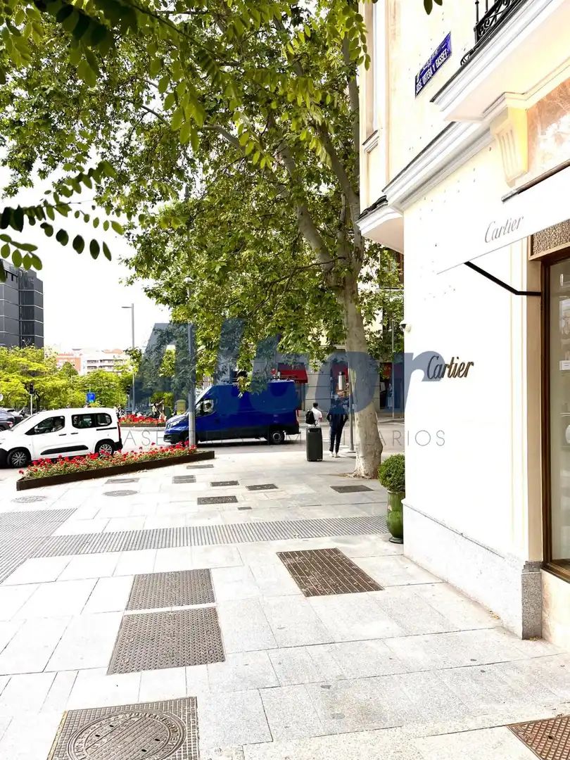 Pis amb ascensor de lloguer a serrano, imagen 11