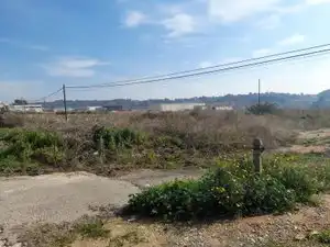 Rural land for sale in Vallmoll, imagen 10
