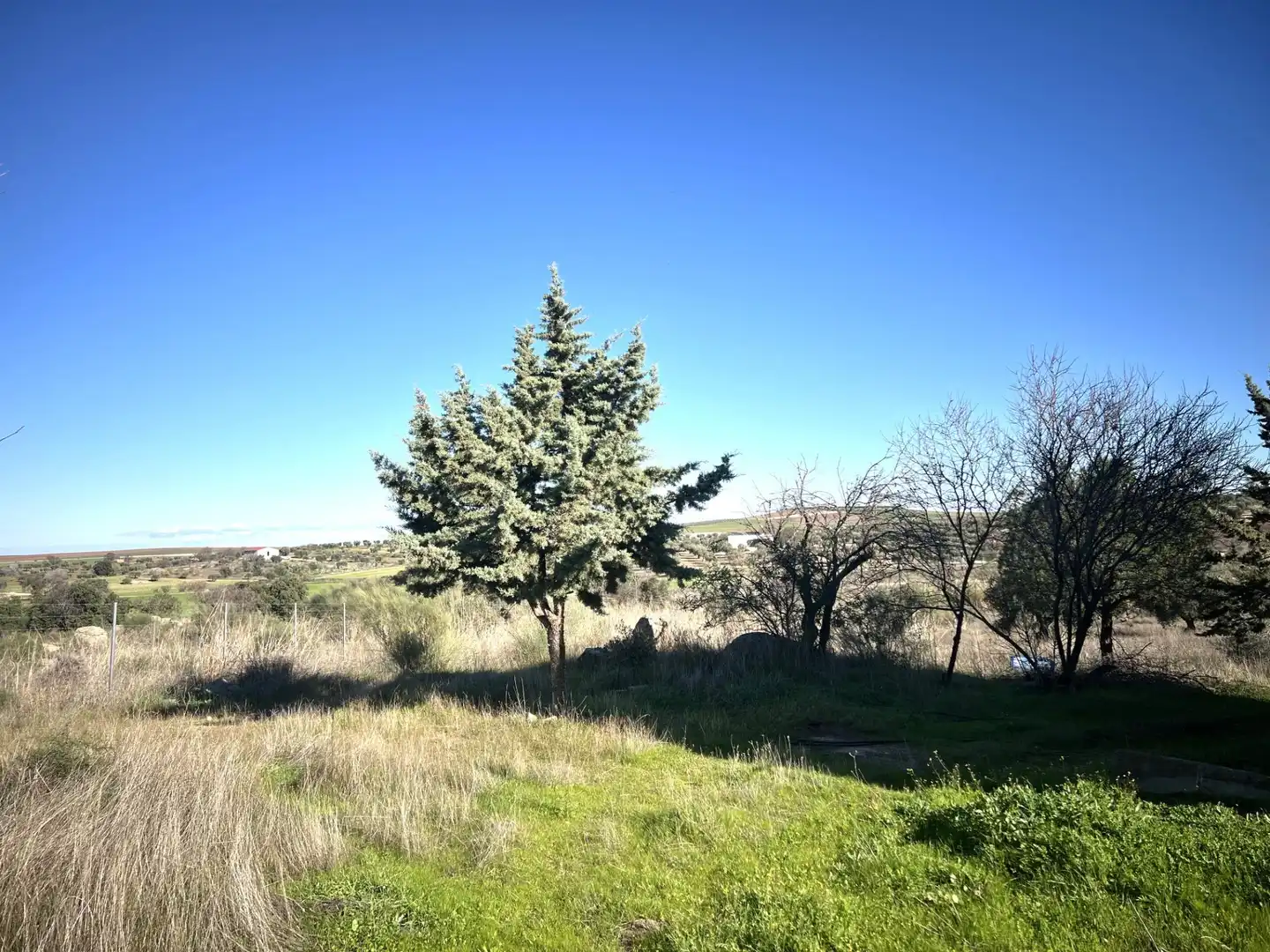 Chalet en venta en Camino Polígono 12 Parcela 105 PAJON. LA HABA (BADAJOZ), imagen 16