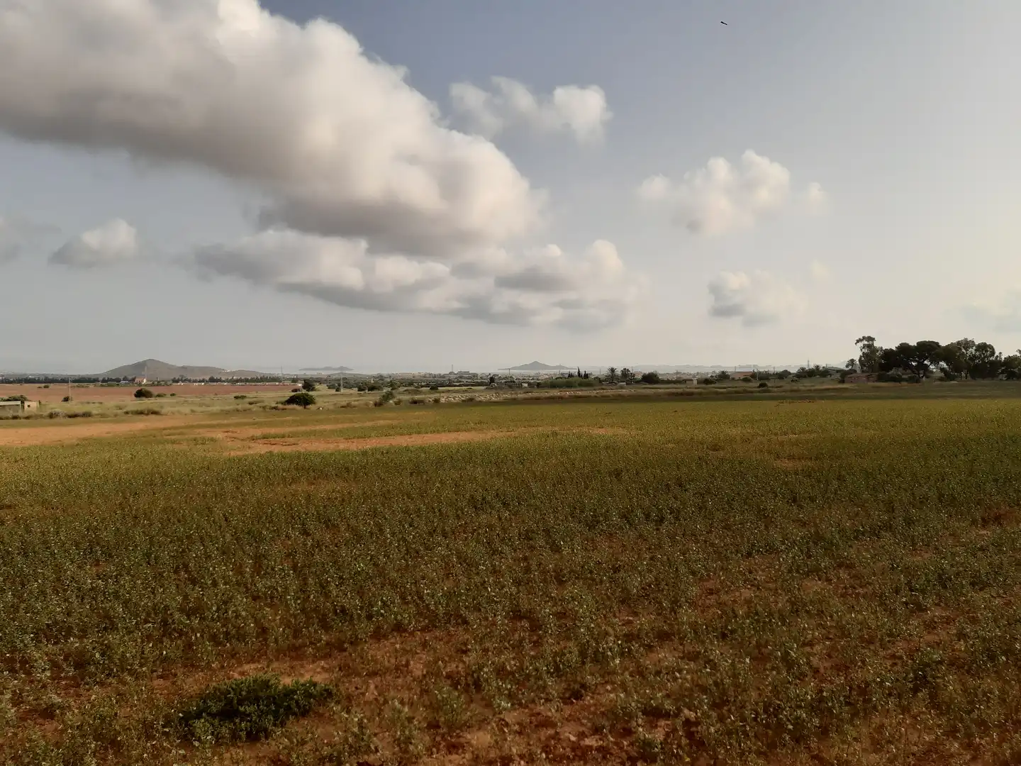 Residential land for sale in Mar Menor de Cartagena – Cabo de Palos, imagen 4