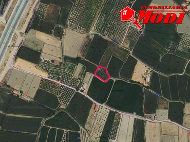 Terrenys i solars en venda a Belicena