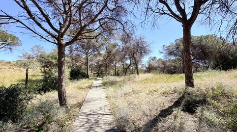 Photo 2 of Apartments for sale in Calle la Herrera, 7, El Moncayo - El Pòrtic, Guardamar del Segura