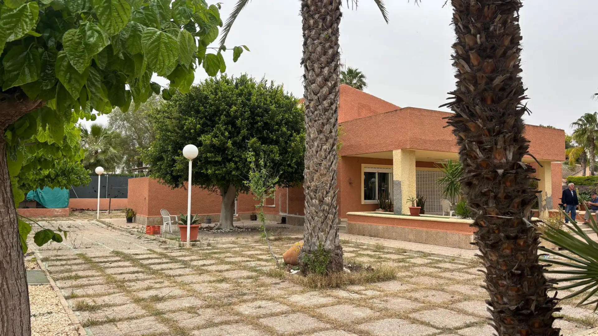 Vista exterior de Casa o xalet en venda en Elche / Elx amb Jardí privat, Terrassa i Piscina