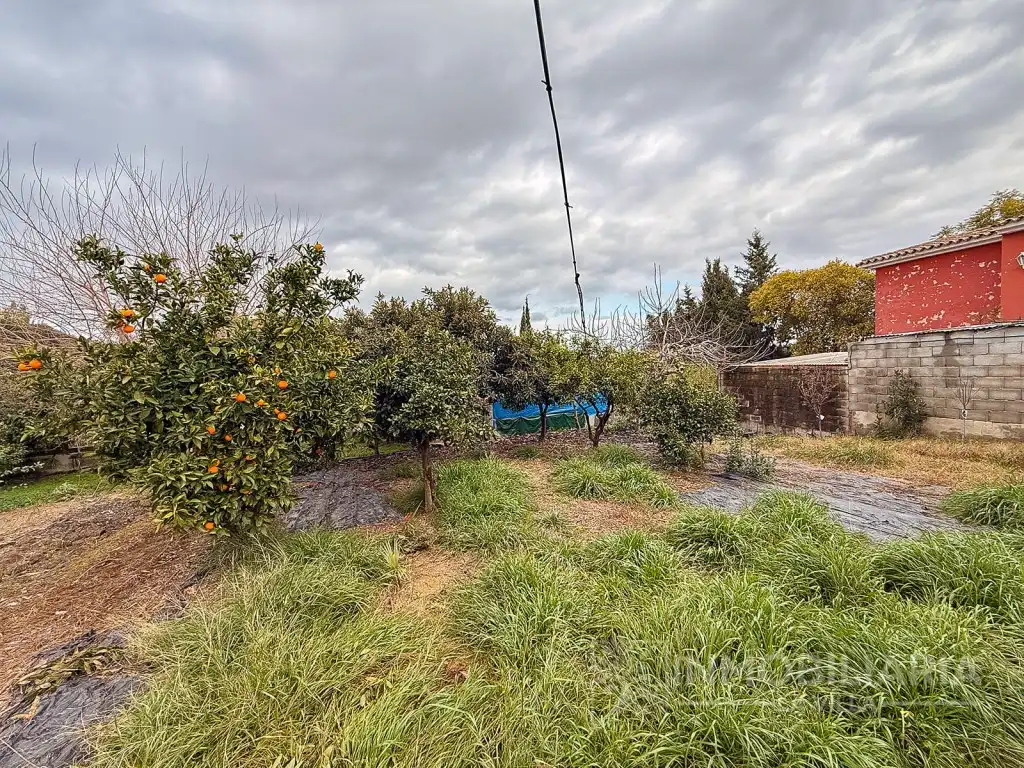 Finca rústica en venda a Partida Chicharra La, Centro