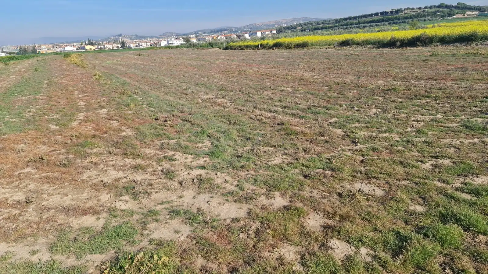 Rustikales Grundstück zum Verkauf in Avenida de Cartuja, imagen 5