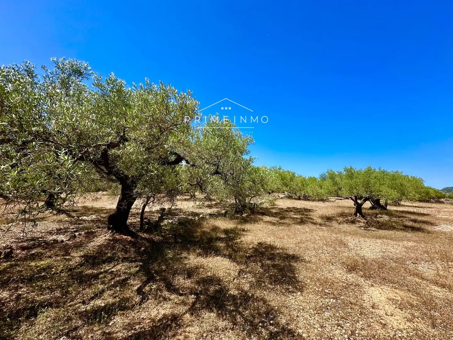 Finca rústica en venta en L'Ampolla con Aire acondicionado, Calefacción y Terraza