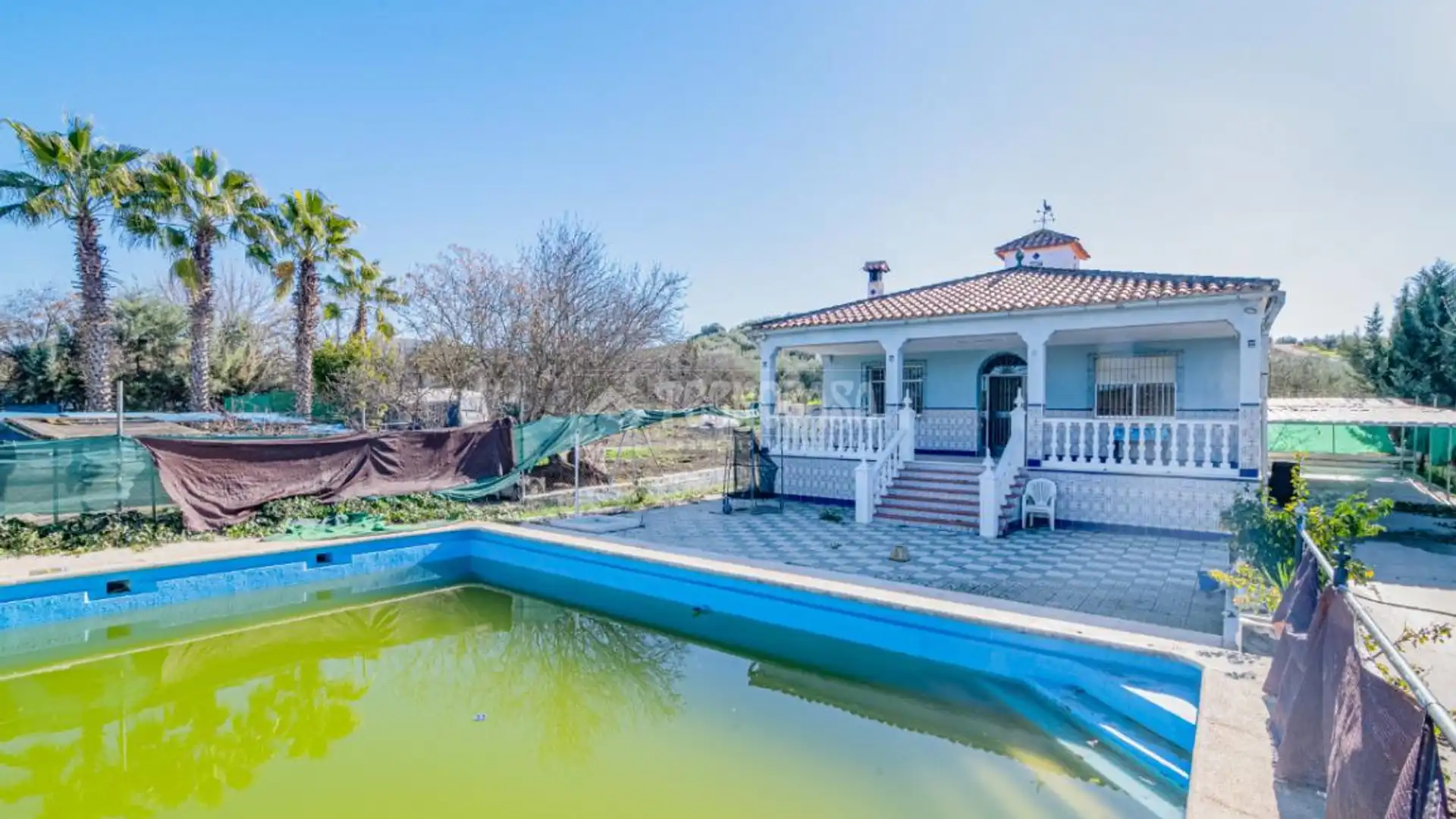 Vista exterior de Finca rústica en venta en Lucena con Aire acondicionado