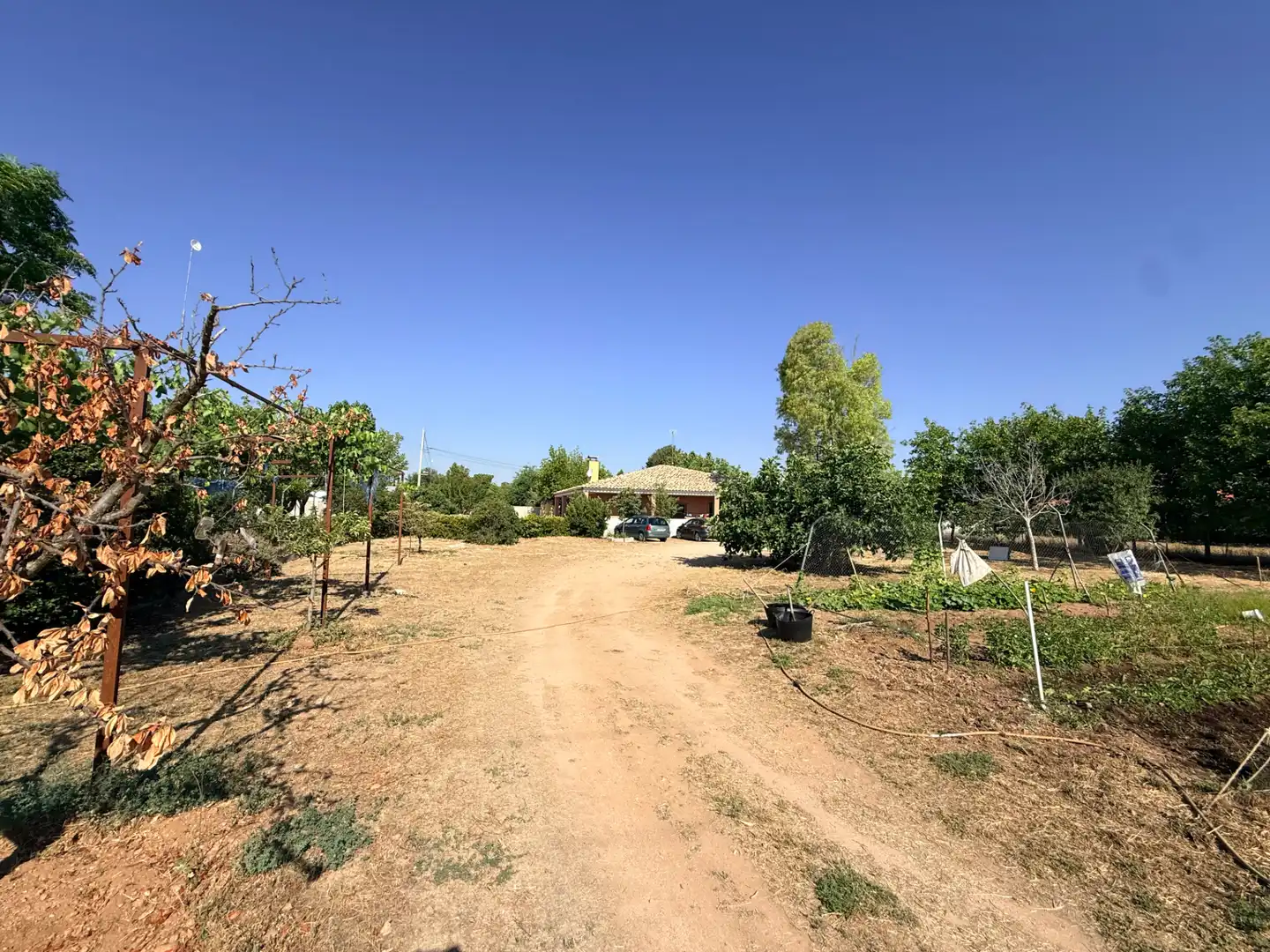 Finca rústica en venda en Tomelloso amb Jardí privat, Piscina i Moblat