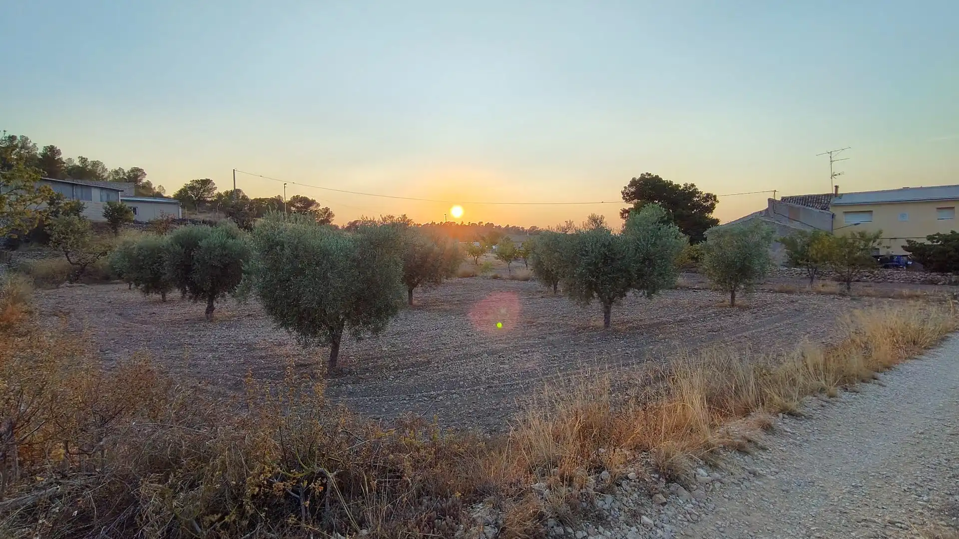 Lands and plots for sale in Abanilla