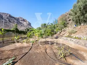 Houses for sale in Playa del Cura - Taurito