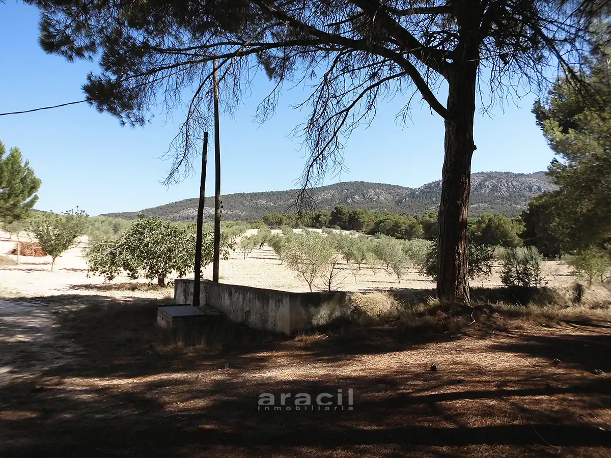 Casa rustica con piscina in vendita a Partida Doncella, imagen 10