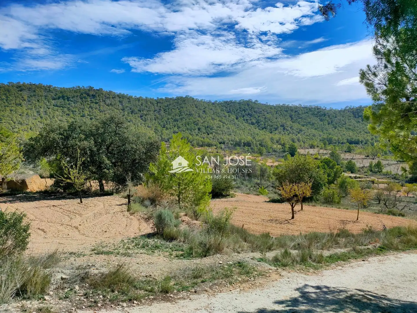 Casa o xalet en venda en La Romana amb Aire condicionat, Calefacció i Jardí privat