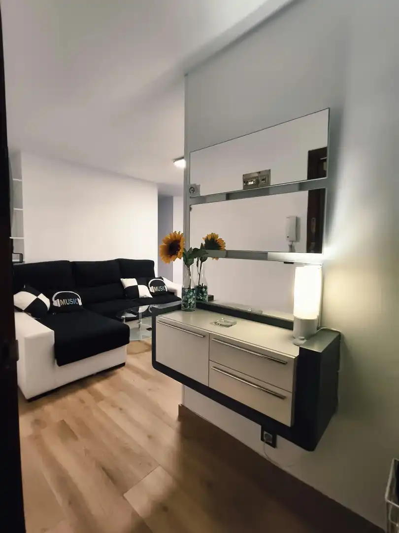 Wohnzimmer von Wohnung zur Miete in Medio Cudeyo mit Parkett und Möbliert
