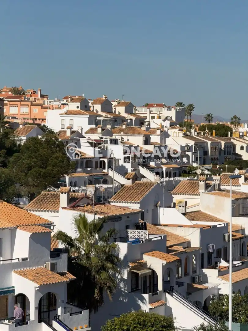 Vista exterior de Casa o chalet en venta en Torrevieja con Jardín privado, Terraza y Trastero