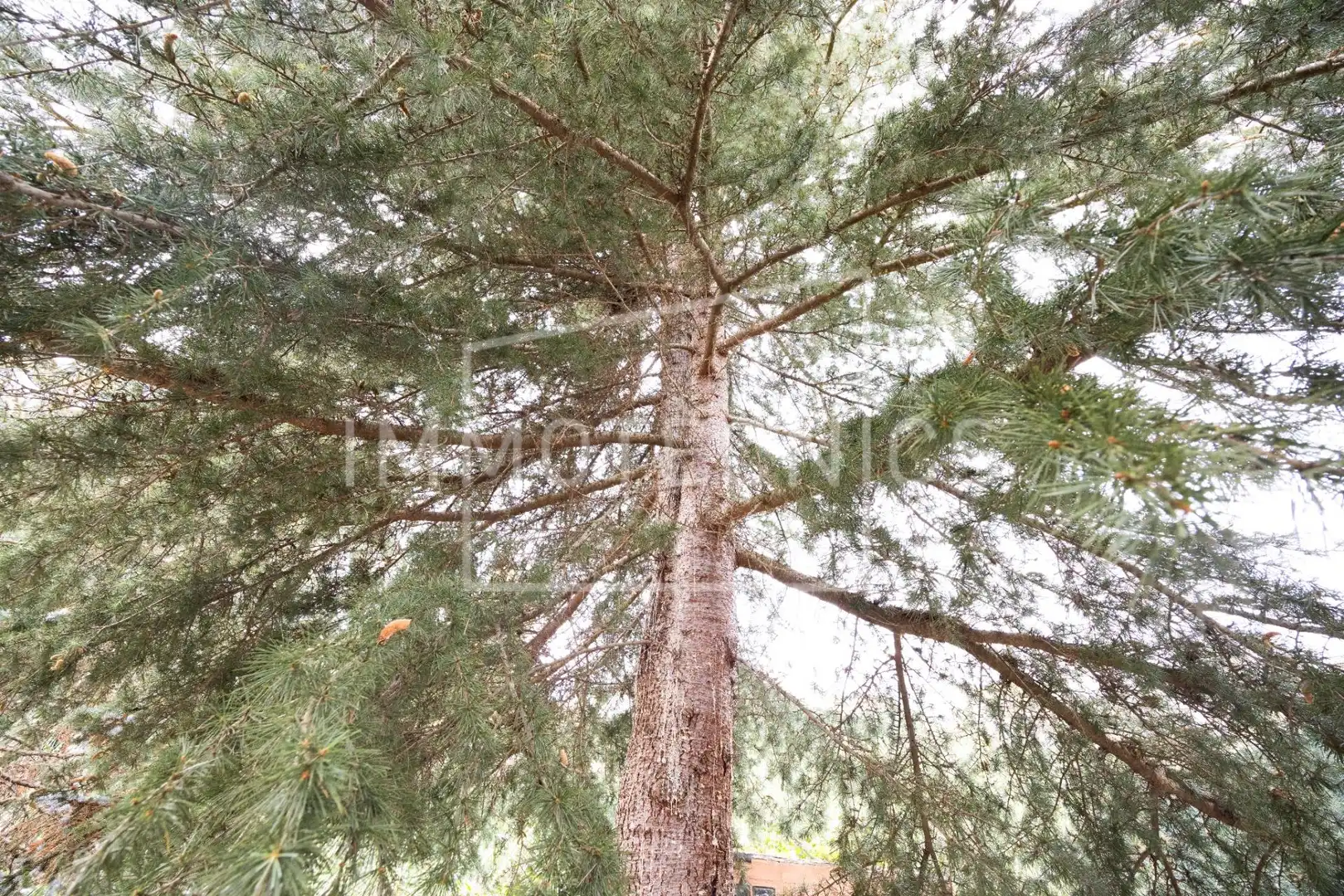 Casa o xalet en venda en Cànoves I Samalús amb Aire condicionat, Calefacció i Jardí privat