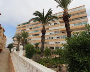 Vista exterior de Apartament de lloguer en Torrevieja amb Terrassa i Balcó