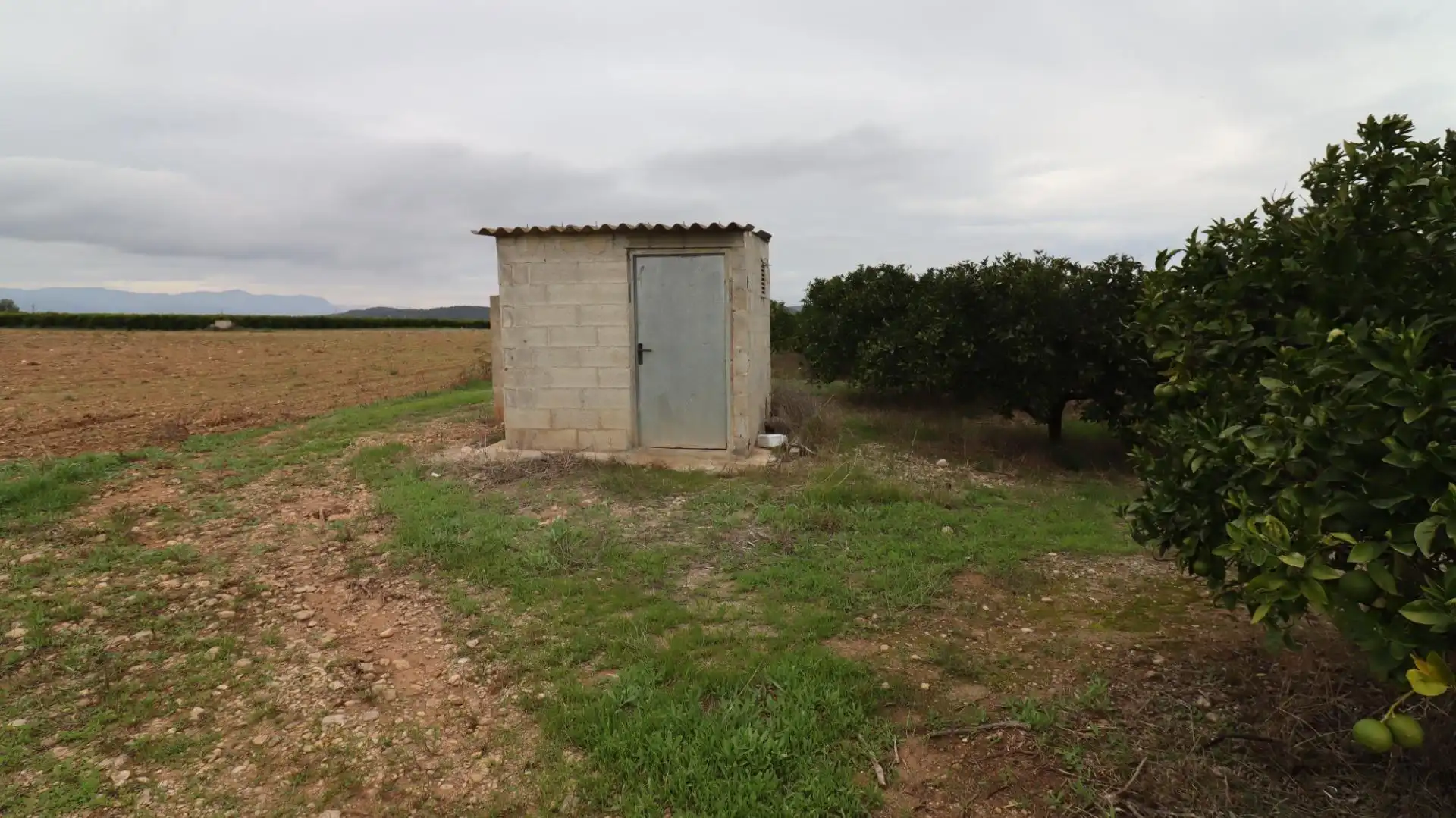 Terreno rustico in vendita a Partidas de interior - Zona Rústica, imagen 2