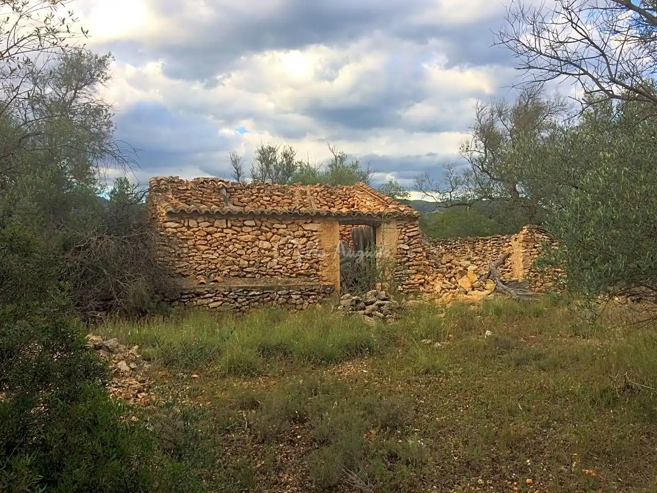Terrain rustique à vendre à Les Planes, imagen 2