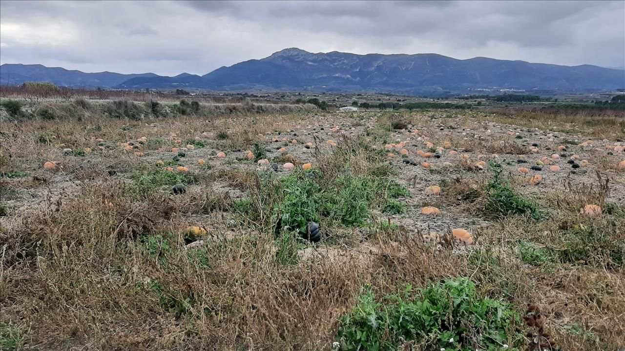 Residencial en venda a Benifumet. La Pobla Del Duc, La Pobla del Duc