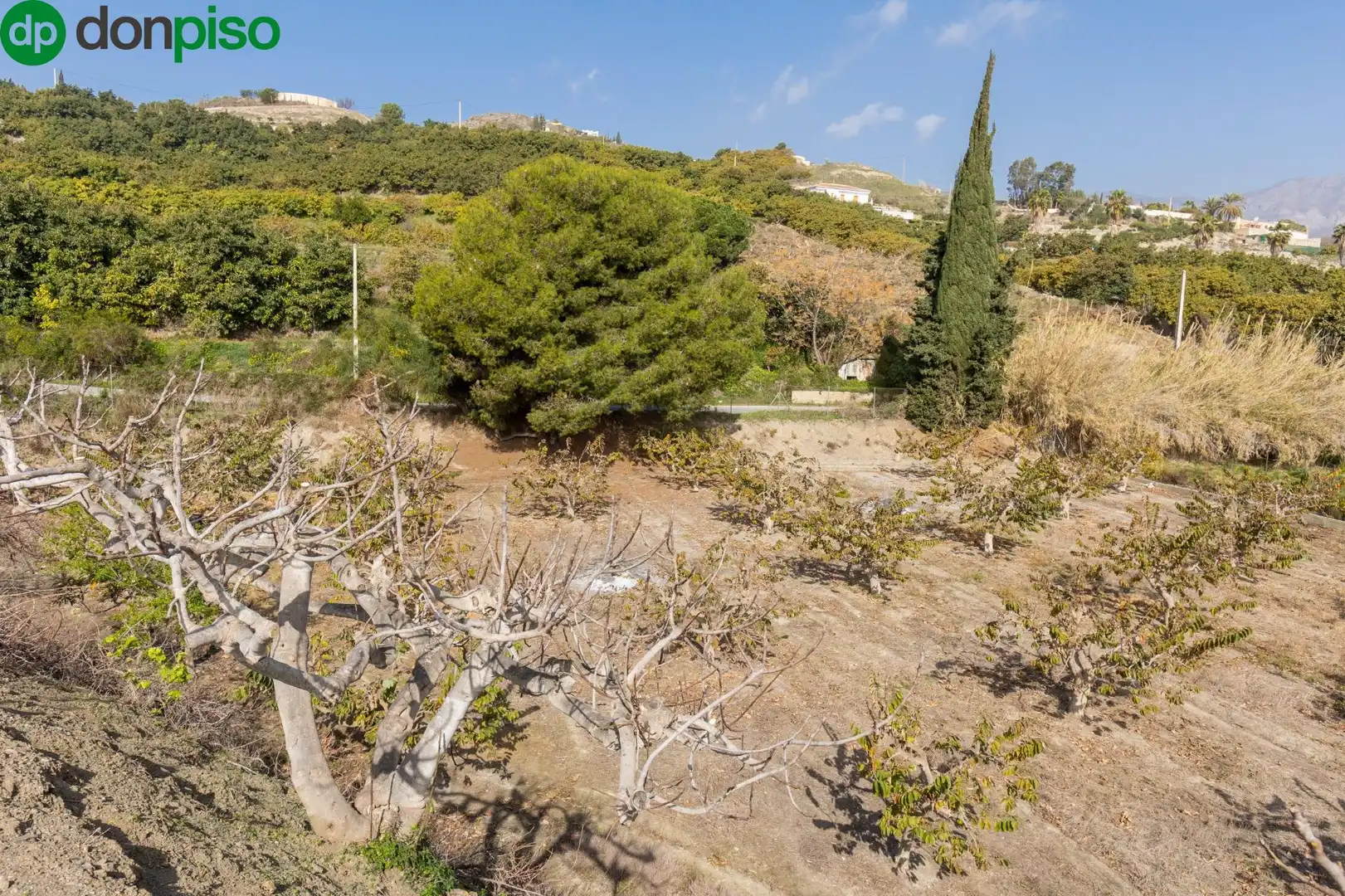 Finca rústica en venda en Salobreña