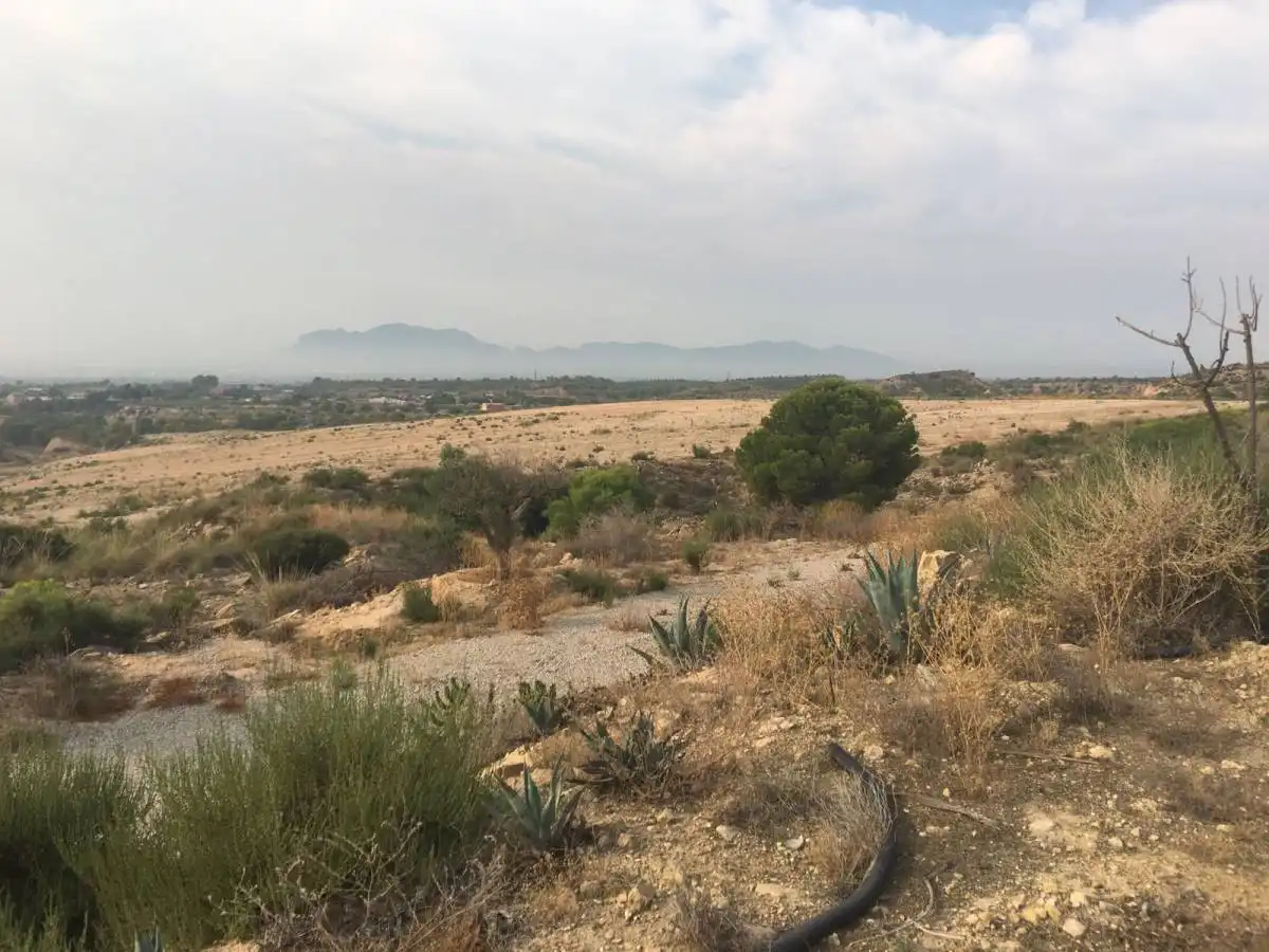 Villa à vendre à Crevillente, EspaÃ±a, imagen 18