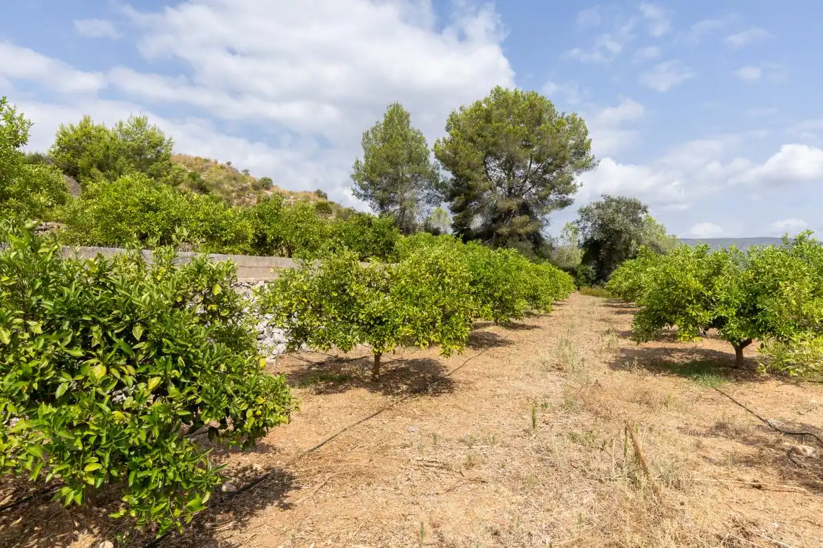 Casa o chalet en venta en Montesa con Calefacción, Jardín privado y Terraza