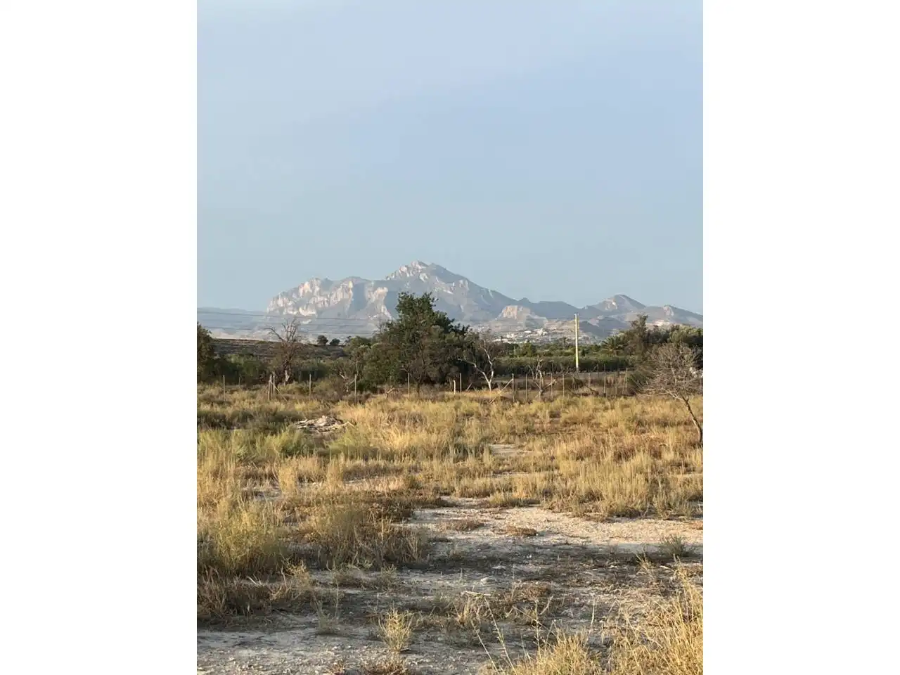 Finca rústica en venta en Mutxamel con Jardín privado
