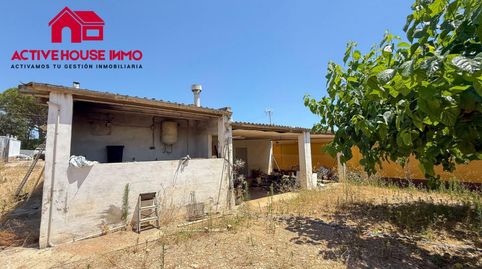 Foto 4 de Finca rústica en venda a Camí de Codonyol 43, Alcanar, Tarragona