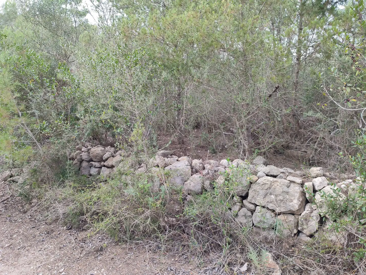 Terrain rustique à vendre à Sant Joan, imagen 16