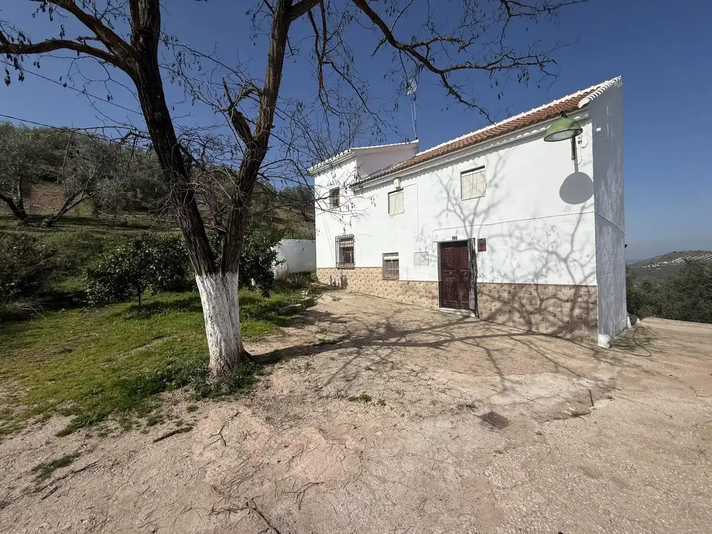 Vista exterior de Finca rústica en venda en Villanueva de Algaidas