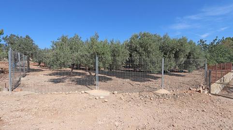 Foto 2 de Casa o xalet en venda a Catadau, Valencia