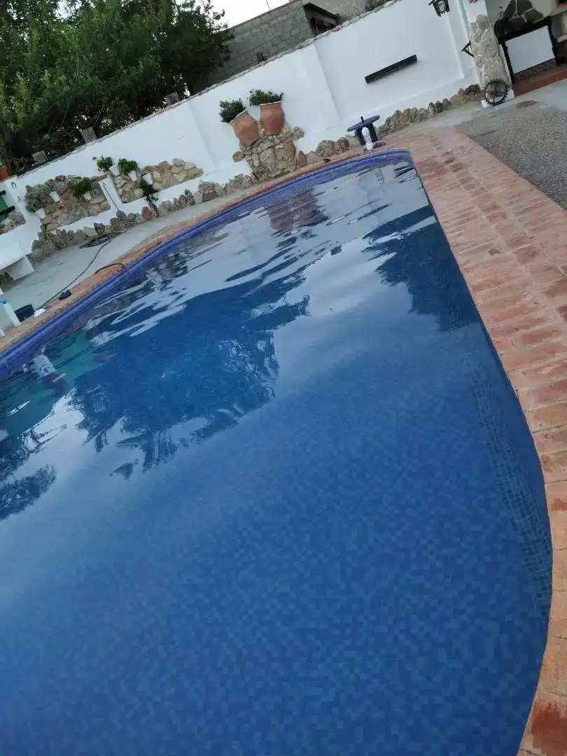 Piscina de Casa o xalet en venda en El Coronil, Sevilla