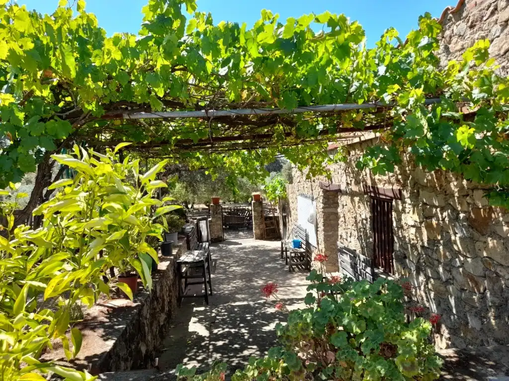 Garden of Houses for sale in San Vicente de Alcántara